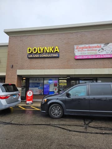 Dolynka Ukrainian-American Consulting
