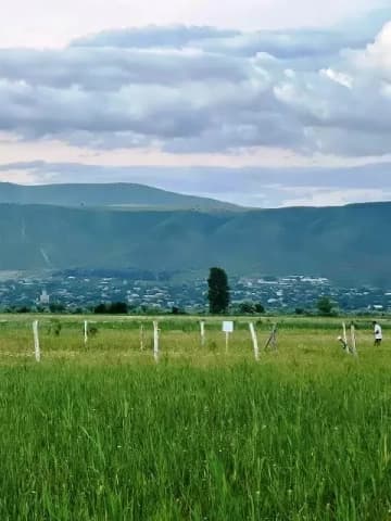 Продается земельный участок в Мцхетском районе